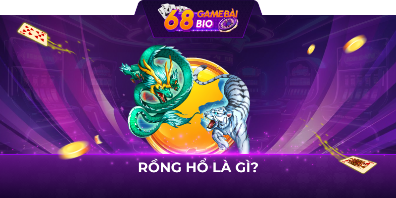 Rồng hổ là gì?