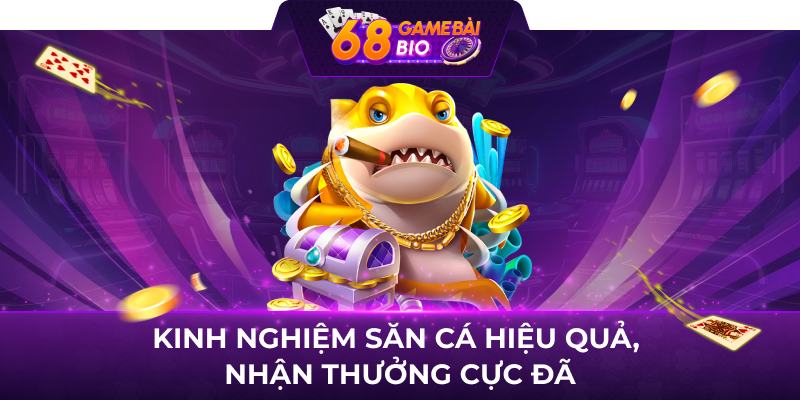 Kinh nghiệm săn cá hiệu quả, nhận thưởng cực đã